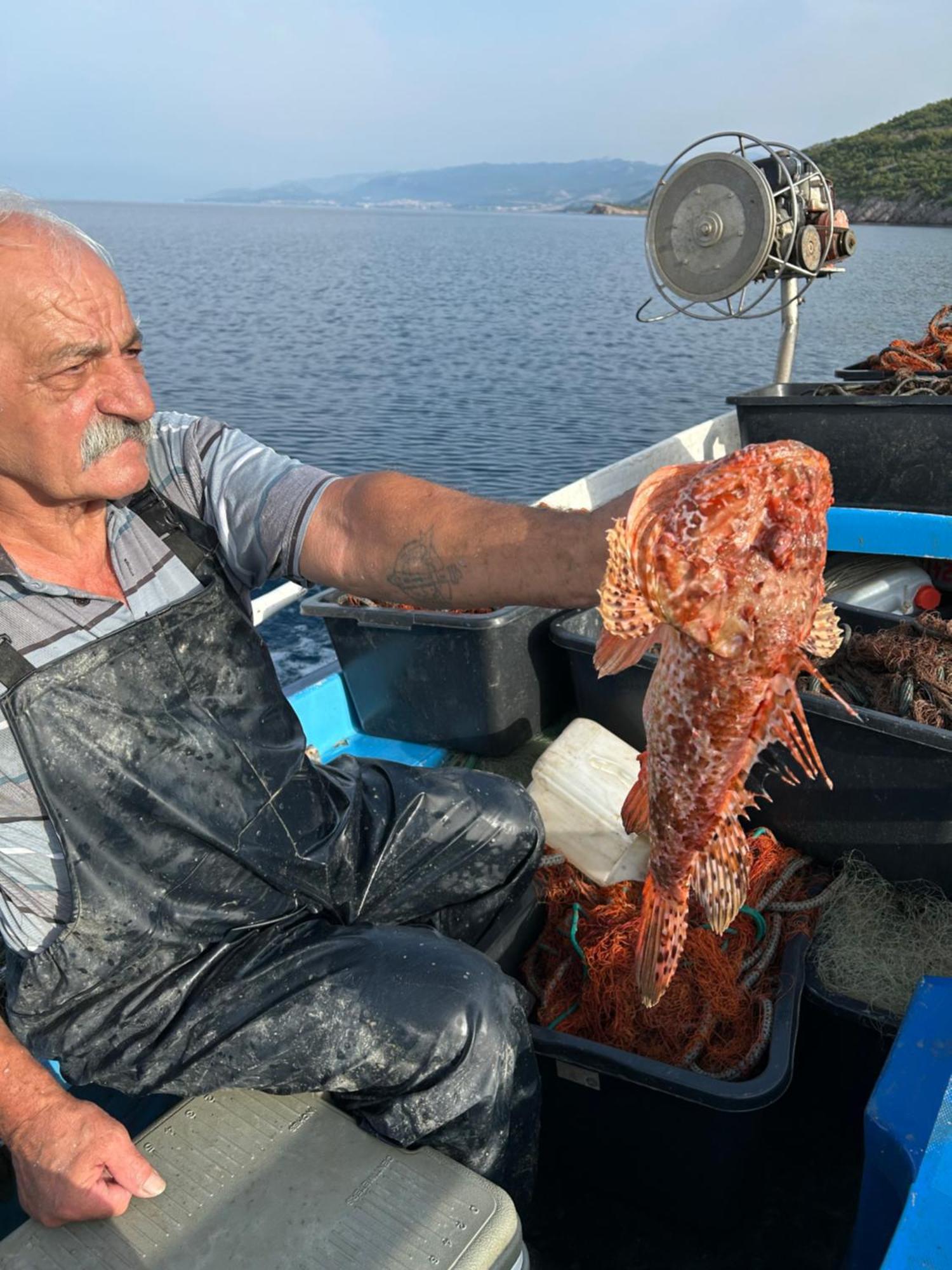 Villa Haus Niko Senj  Exteriör bild