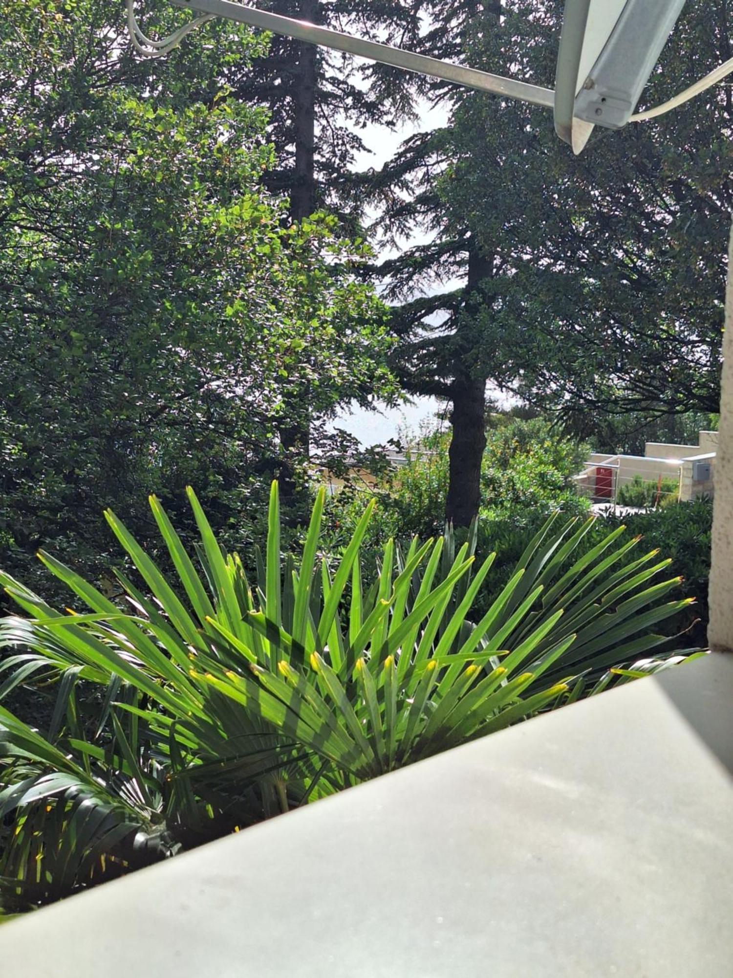 Villa Haus Niko Senj  Exteriör bild